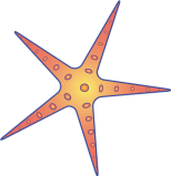 Algarve Grotto Trips