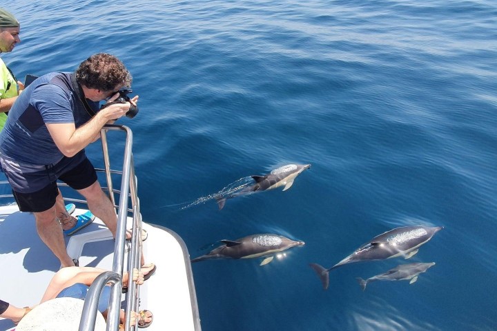 Two people on a boat photographing four dolphins swimming in clear blue water.